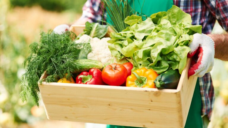 Rolnictwo ekologiczne