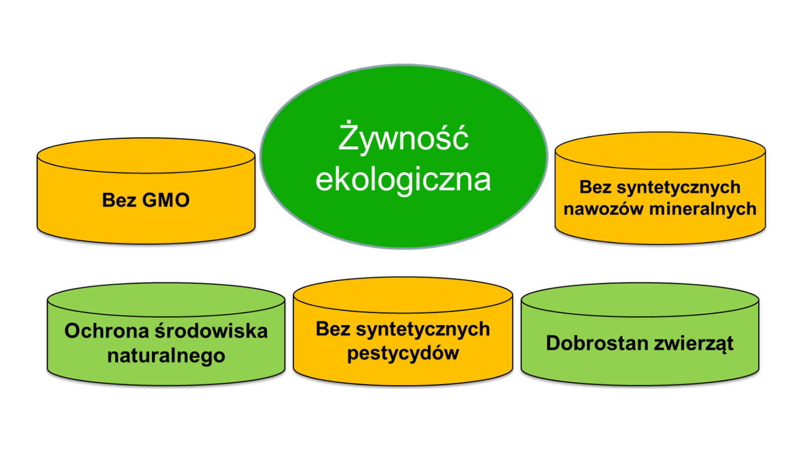 Żywność ekologiczna